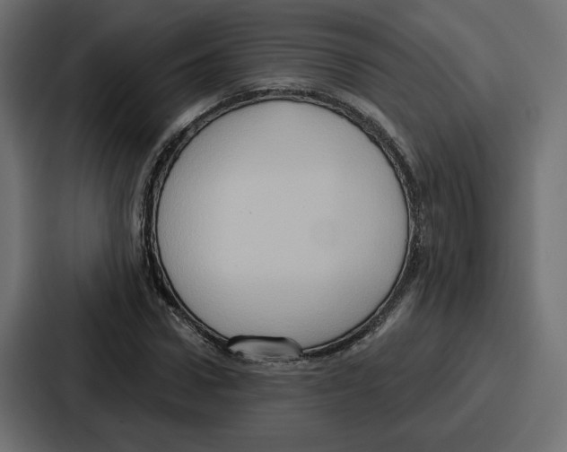 X0000086750922200705111652