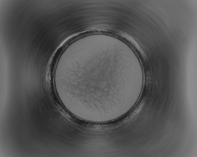 X0000086750923200705111652