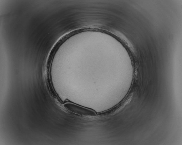 X0000086750924200705111652