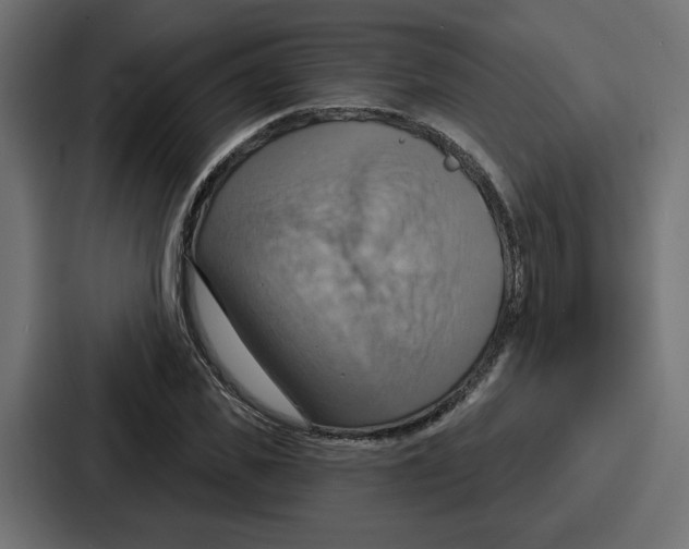 X0000086750925200705111652