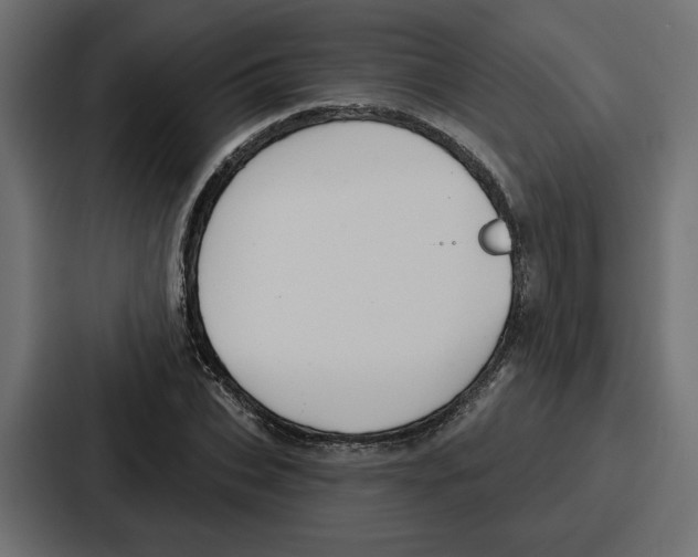 X0000086750927200705111652