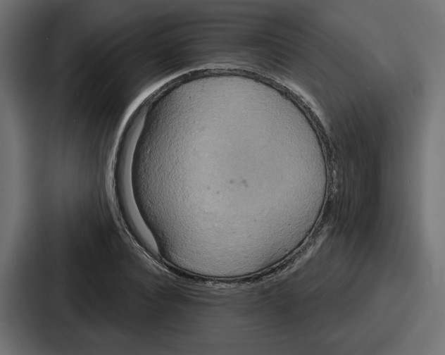 X0000086750928200705111652