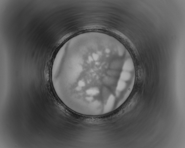 X0000086750929200705111652
