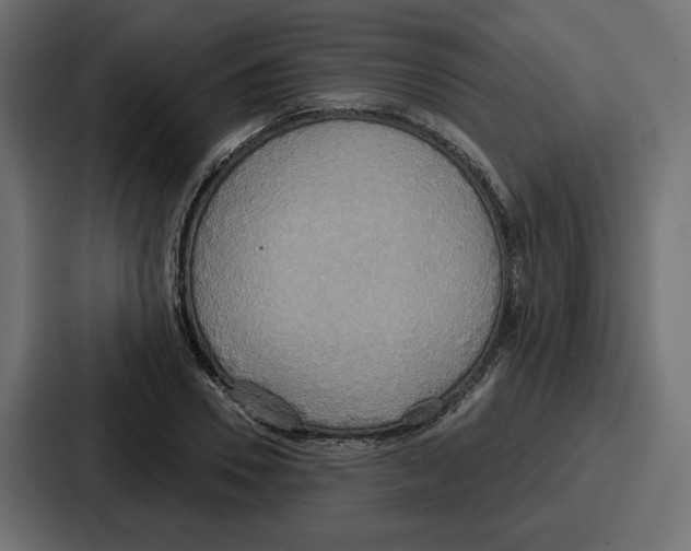 X0000086750930200705111652
