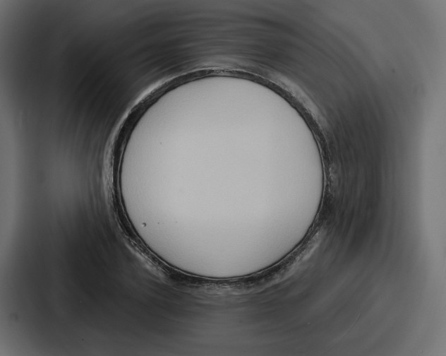 X0000086750931200705111652