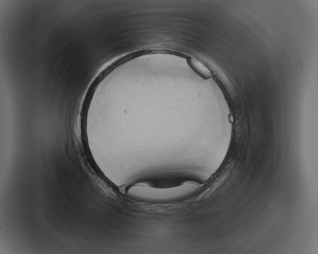 X0000086750932200705111652
