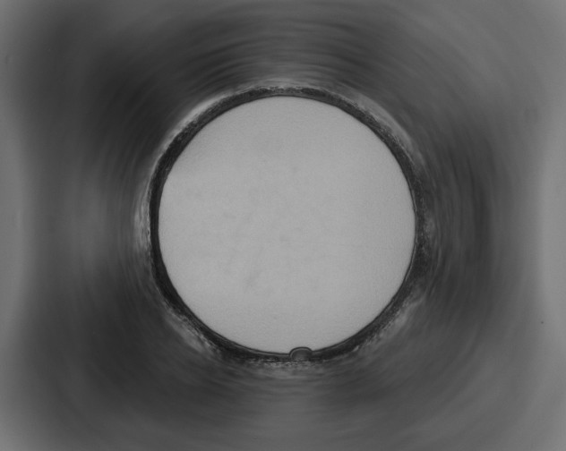 X0000086750934200705111652