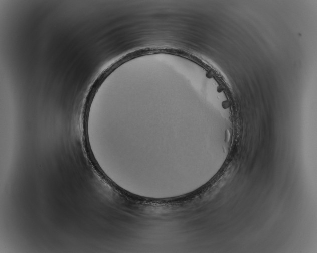 X0000086750935200705111652