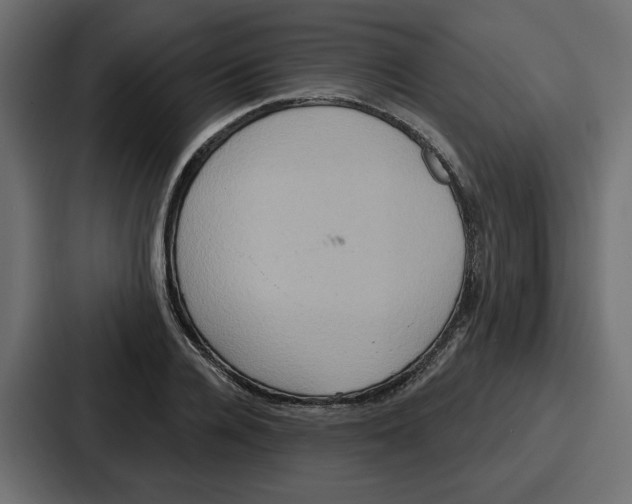 X0000086750936200705111652