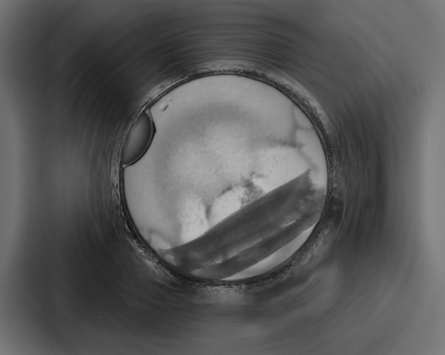 X0000086750937200705111652