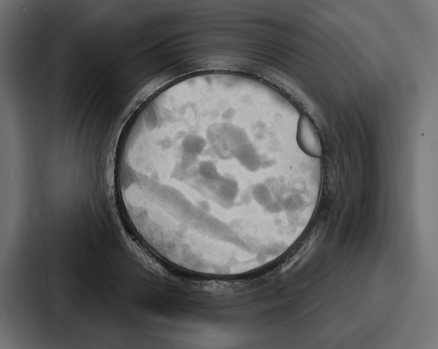 X0000086750938200705111652