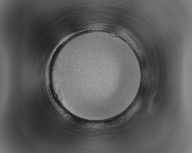X0000086750939200705111652