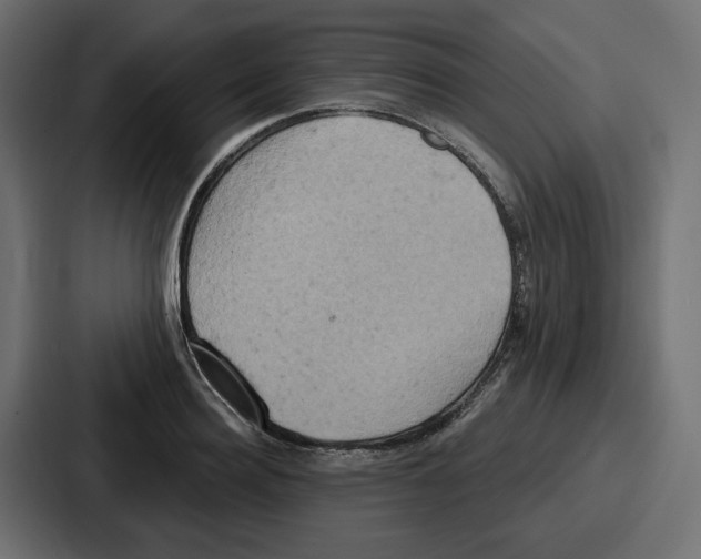 X0000086750940200705111652