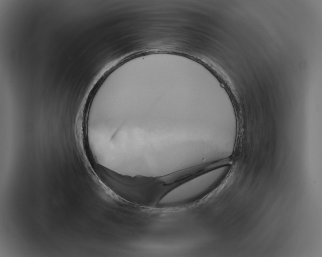 X0000086750941200705111652