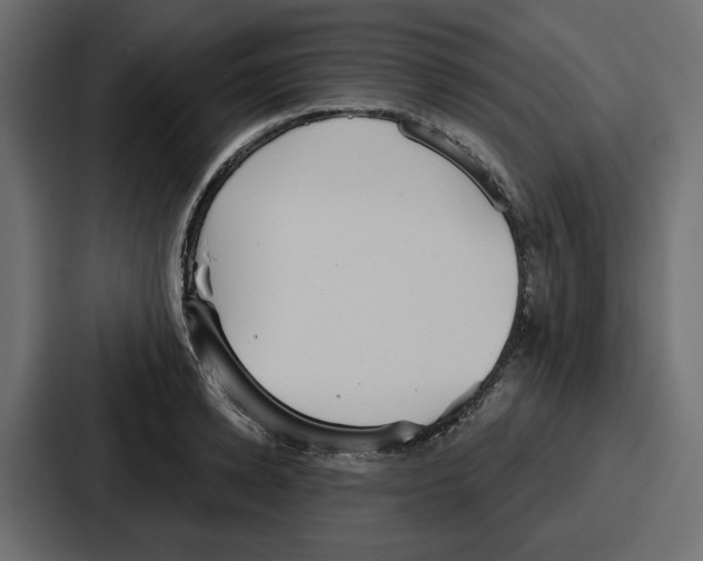 X0000086750942200705111652