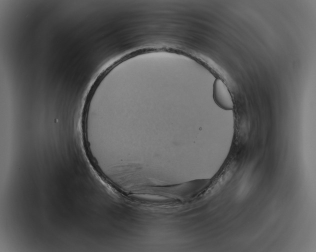 X0000086750943200705111652