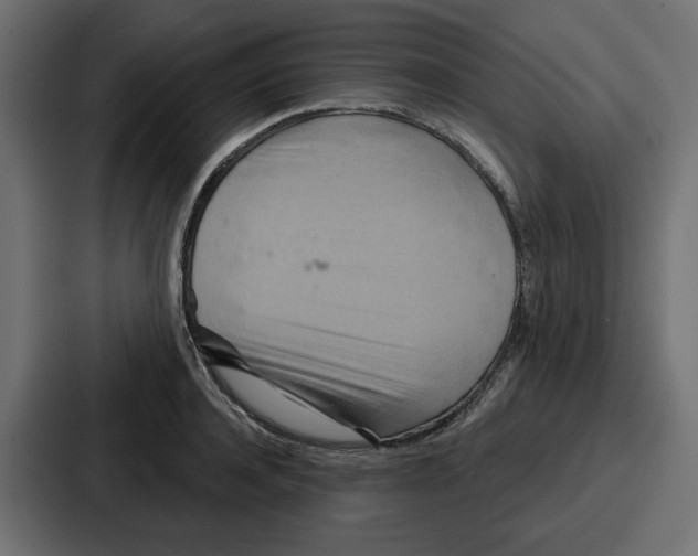 X0000086750944200705111652