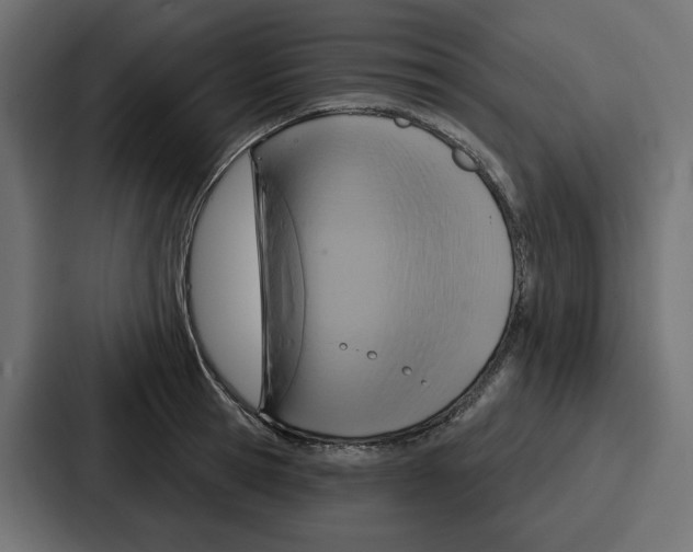 X0000086750945200705111652