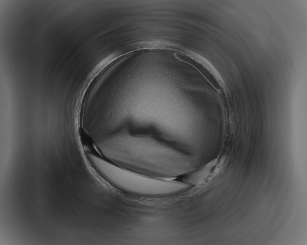 X0000086750946200705111652