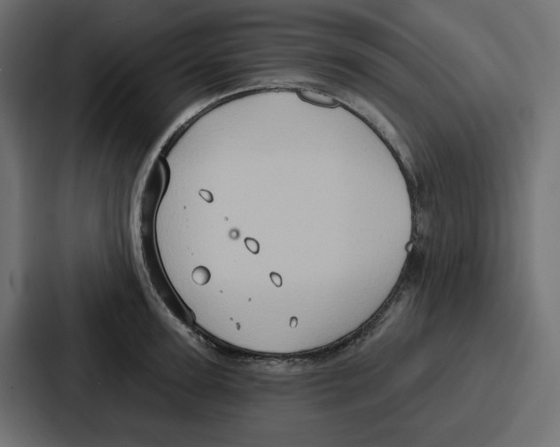 X0000086750947200705111652
