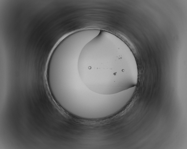 X0000086750948200705111652