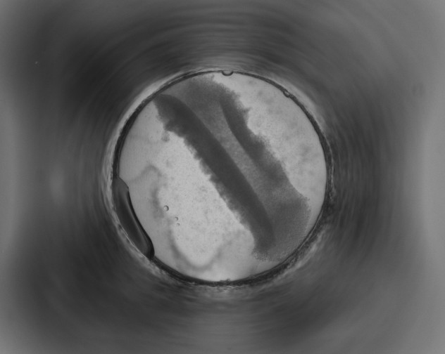 X0000086750949200705111652