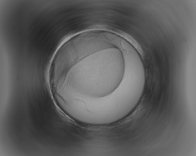 X0000086750950200705111652