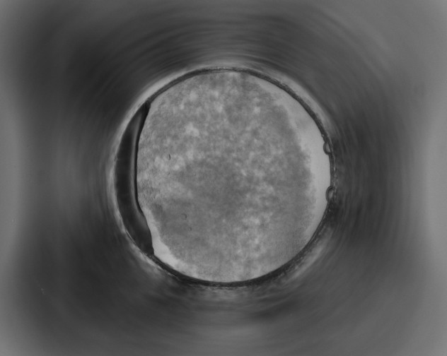X0000086750951200705111652