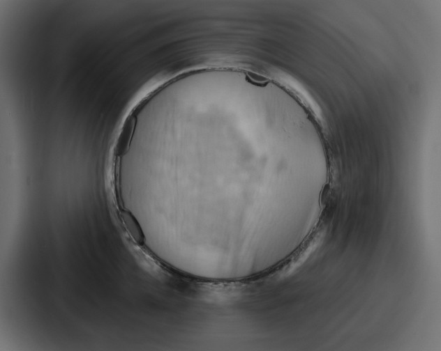 X0000086750952200705111652