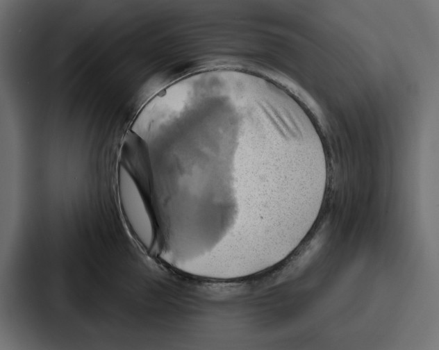 X0000086750953200705111652