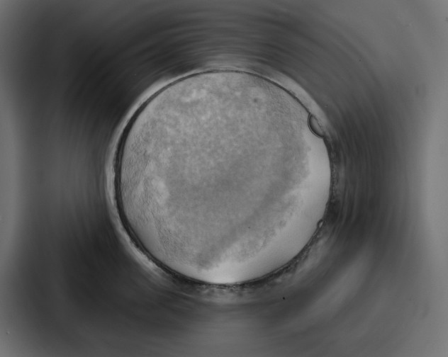 X0000086750955200705111652