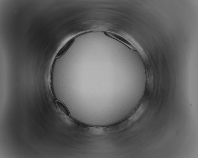 X0000086750956200705111652