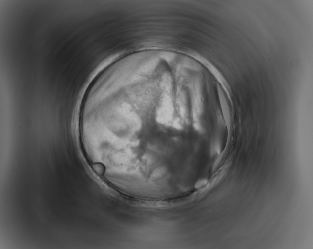X0000086750957200705111652