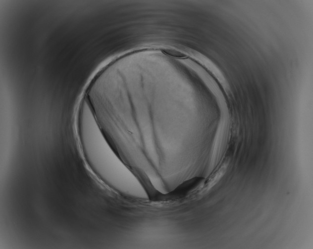 X0000086750958200705111652