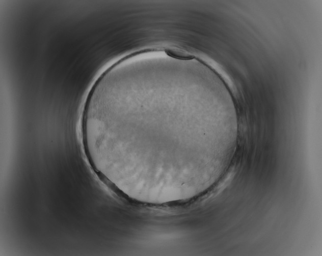 X0000086750959200705111652