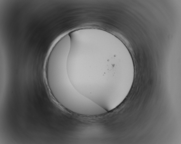 X0000086750960200705111652
