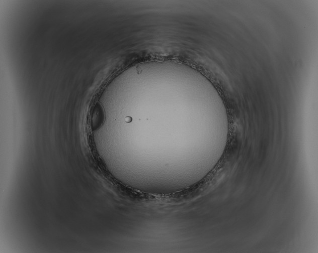 X0000086750961200705111651