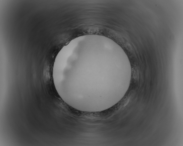 X0000086750962200705111651