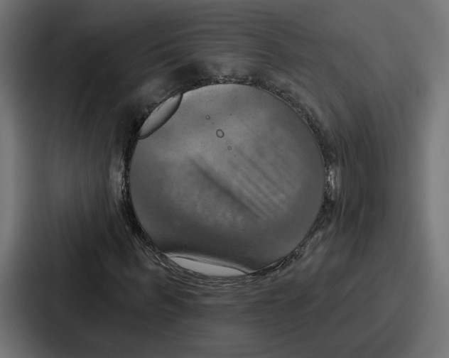X0000086750963200705111651