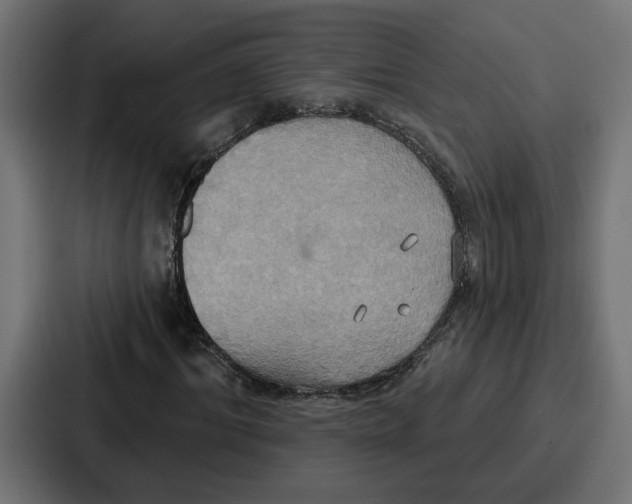 X0000086750964200705111651