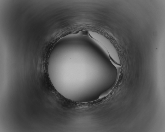 X0000086750965200705111651