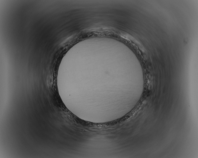 X0000086750966200705111651