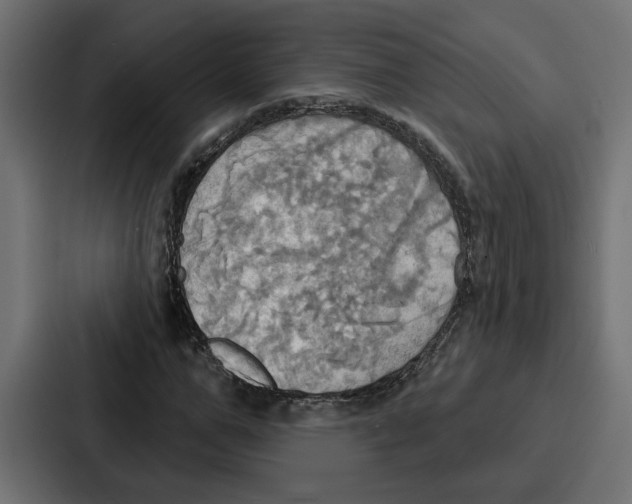 X0000086750967200705111651