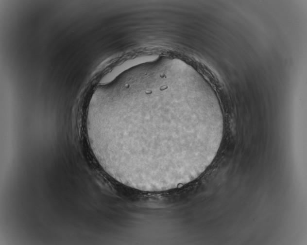 X0000086750968200705111651