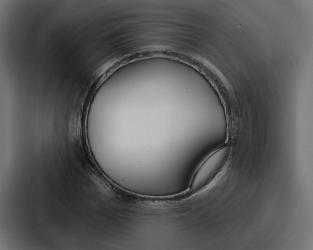 X0000086750969200705111651