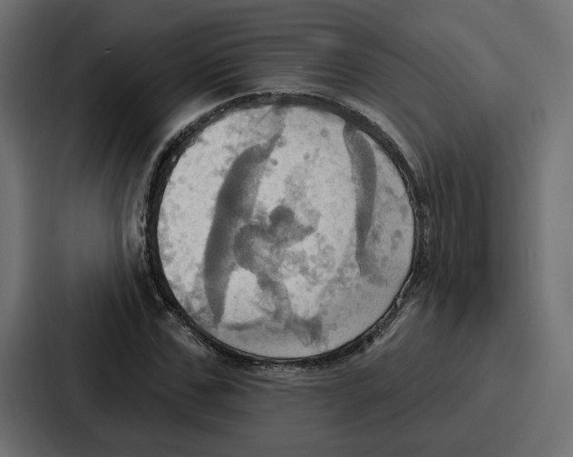 X0000086750971200705111651