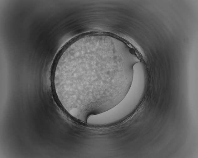 X0000086750972200705111651
