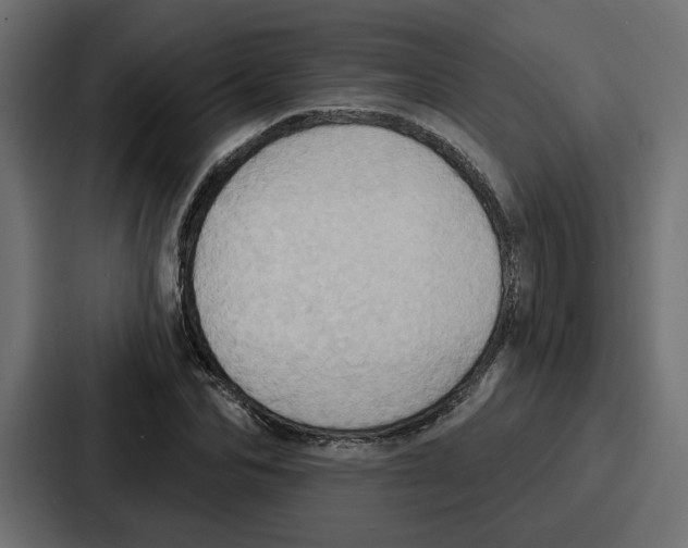X0000086750974200705111651
