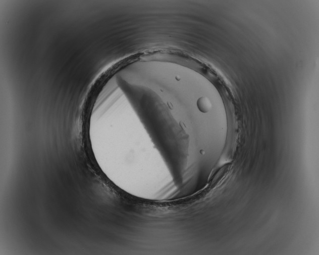 X0000086750975200705111651