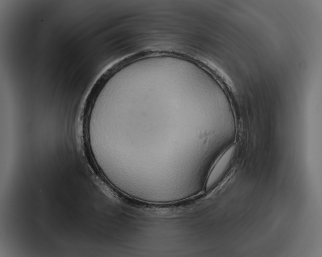 X0000086750976200705111651